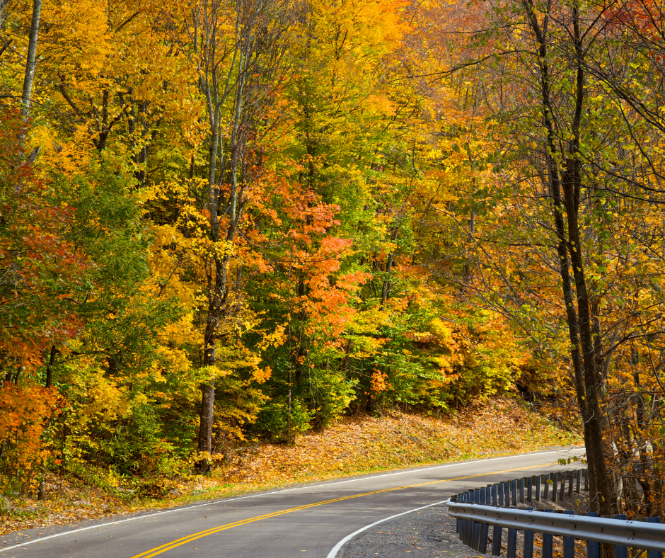 » The Best Fall Foliage Drives in Minnesota